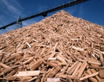 ｜製紙業の為の木材