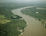 ｜椰子の森とチャオプラヤー川