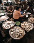 ｜フアヒンの魚市場