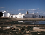 ｜ケルアン郊外の「床屋のモスク」と羊のある風景
