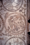 PANTALEONE Monaco｜オトラント大聖堂の中央身廊の床モザイク「天地創造の木・8月（獅子座）」