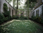 ｜ベートーヴェンの生家の庭と胸像