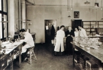 ｜エールリヒ、秦佐八郎と他の助手と共に研究室にて、1910年