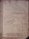 LEONARDO DA VINCI｜ダ・ヴィンチの自筆原稿「羽ばたき飛行機の翼の図」